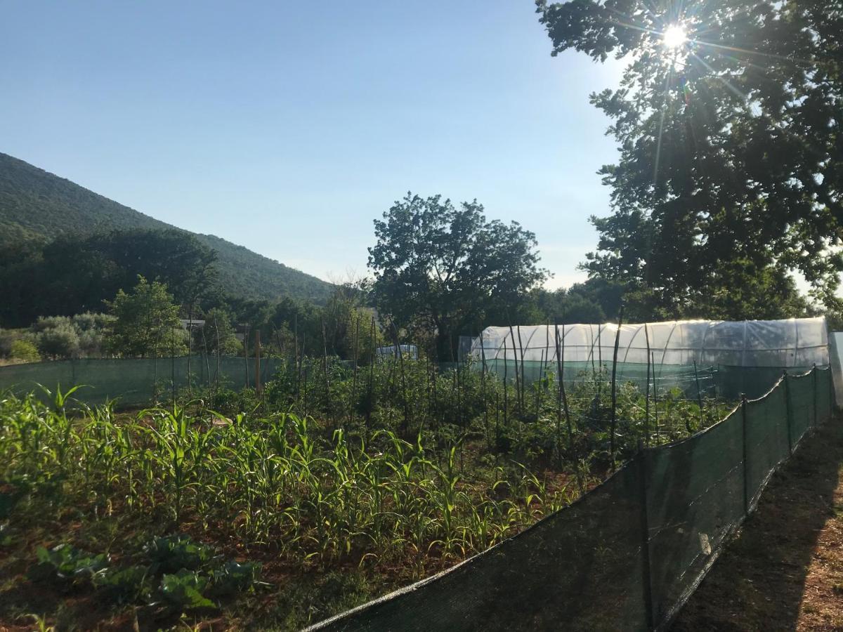 Villa Flowers Međugorje 외부 사진