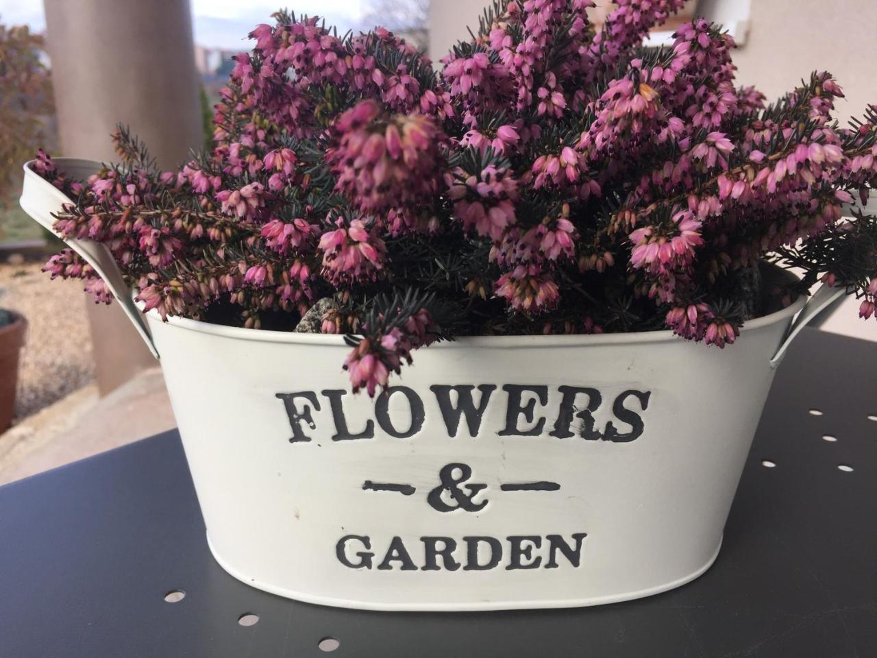 Villa Flowers Međugorje 외부 사진